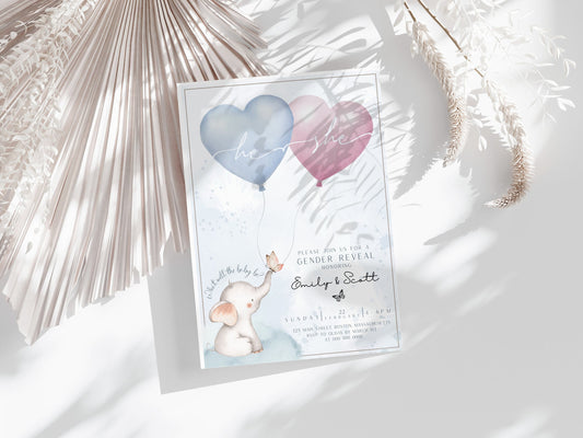 Gender Reveal Invitation for gender reveal guests and party details