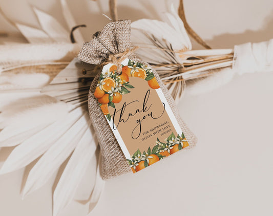Baby Shower favor tags for party favor bags treat boxes and guest gifts