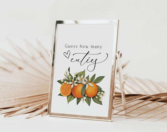 Main Squeeze Guess How Many baby shower sign and tickets printable design preview