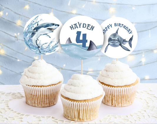 Birthday Boy cupcake toppers for dessert tables and themed party treats