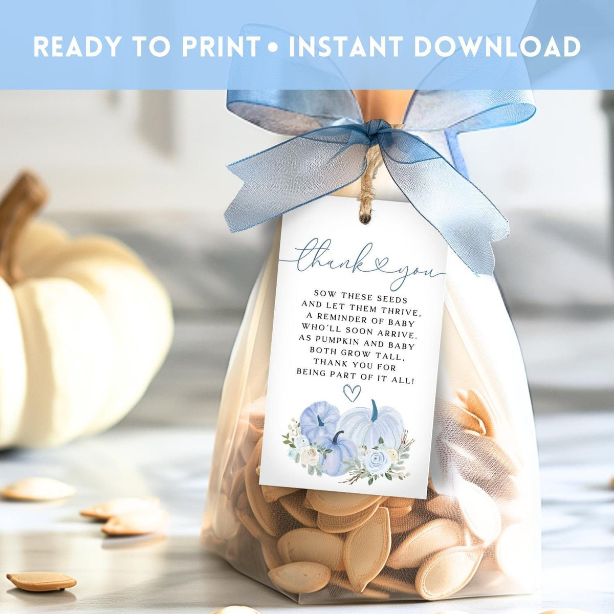 Little Pumpkin blue floral baby shower seed favor tag