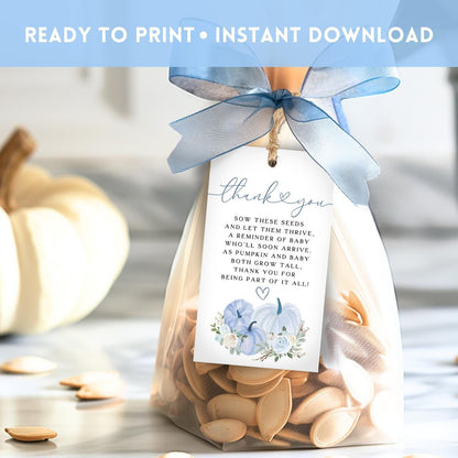 Little Pumpkin blue floral baby shower seed favor tag
